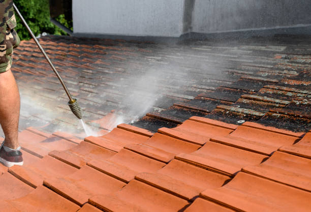 Best Pressure Washing Driveway  in Palm Valley, TX