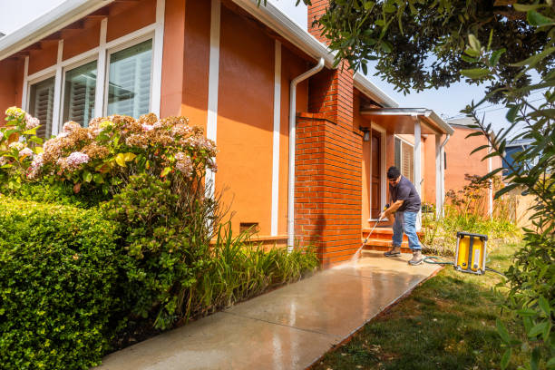 Best House Pressure Washing  in Palm Valley, TX
